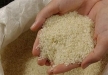 برنج با ارز ۴۲۰۰ تومانی وارد می‌شود / کمبود برنج نداریم